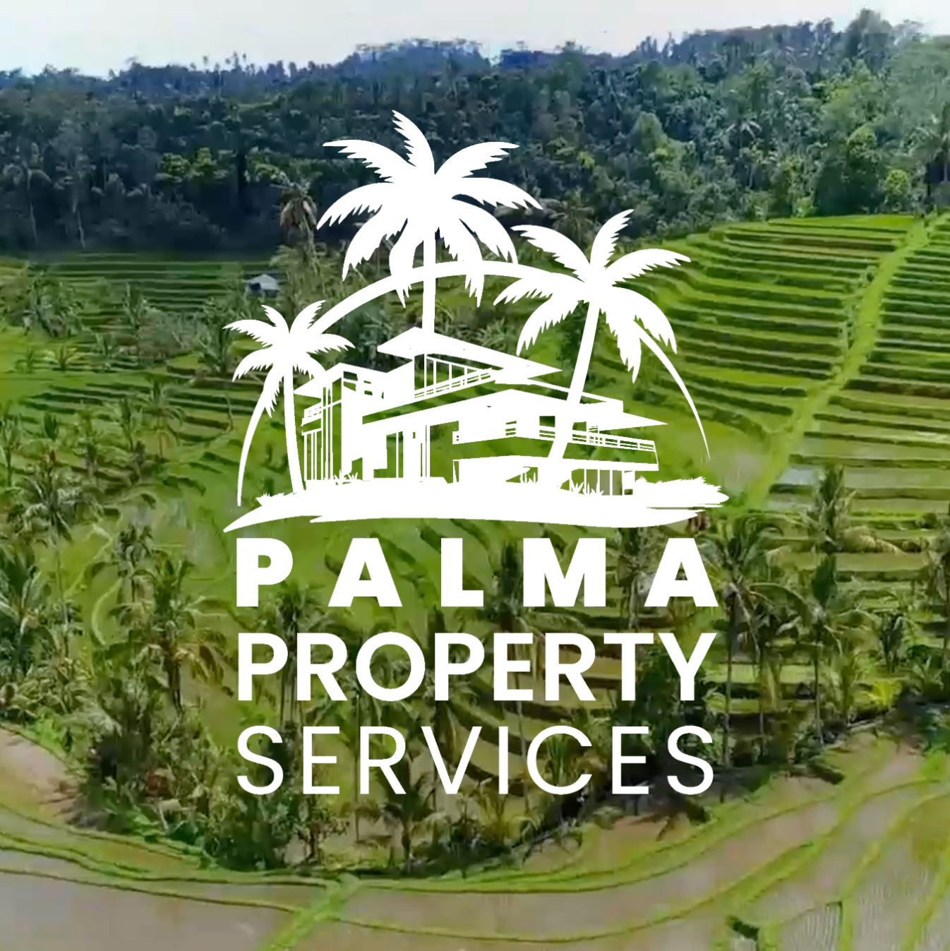 Palma Properties 1